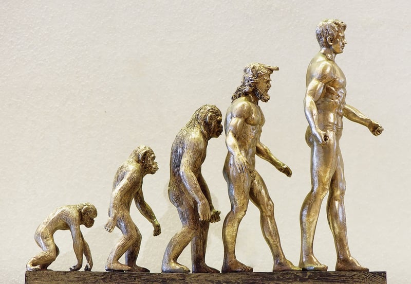 Tech Evolution
